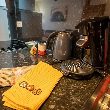 Schwendi - Quartier Petite Venise Апартаменты Кольмар