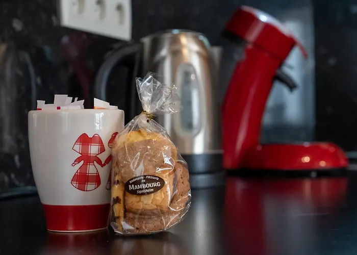 Apartment Schwendi - Quartier Petite Venise *