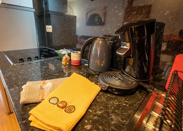 Schwendi - Quartier Petite Venise Apartment Colmar